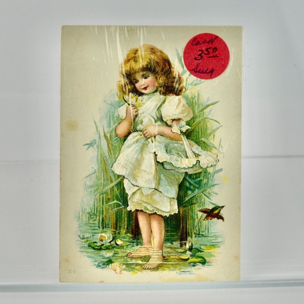 Antique Victorian Trading Card Girl Flowers Birds Blank Back